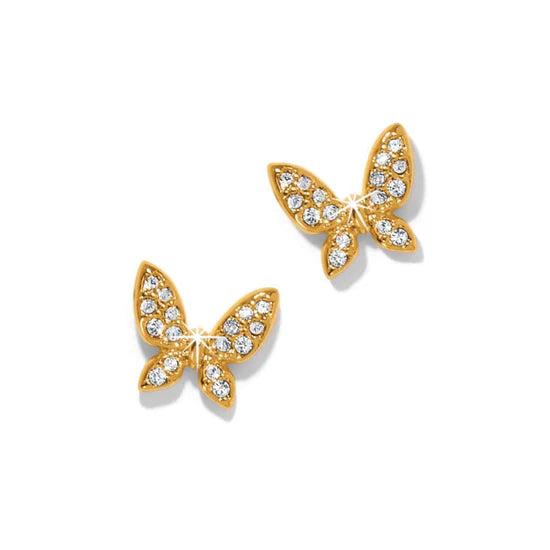 Autumn leaf earringsBrighton | Enchanting Butterfly Post Earrings in Gold